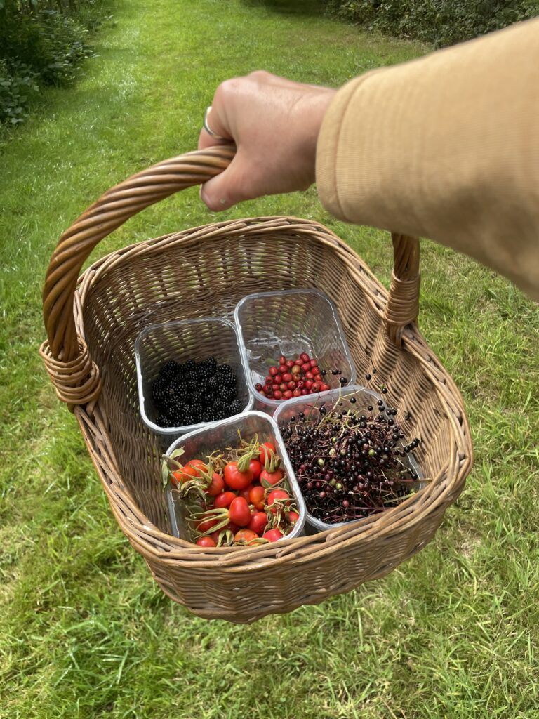 autumn berries basket