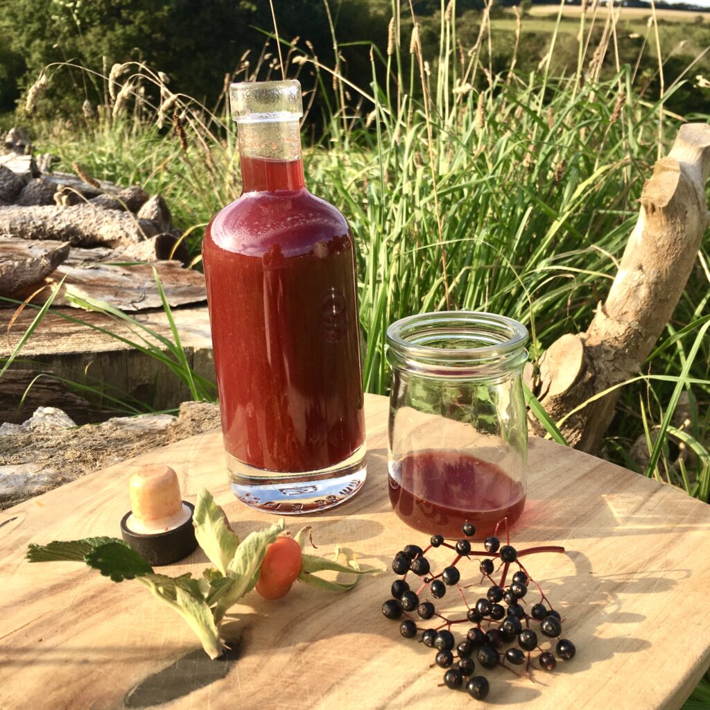 elderberry rob
